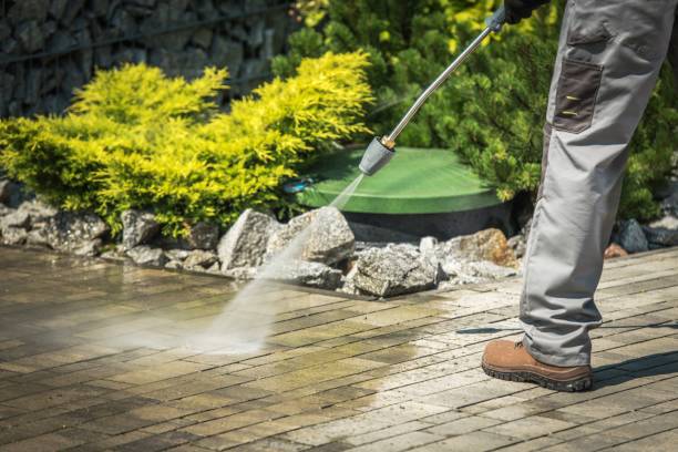 Best Soft Washing for Delicate Surfaces in Osceola, WI