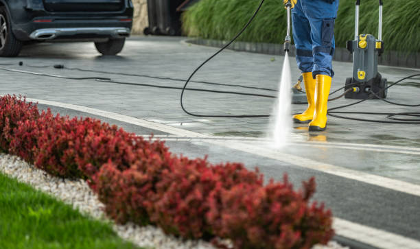 Best Roof Cleaning and Mildew Removal in Osceola, WI
